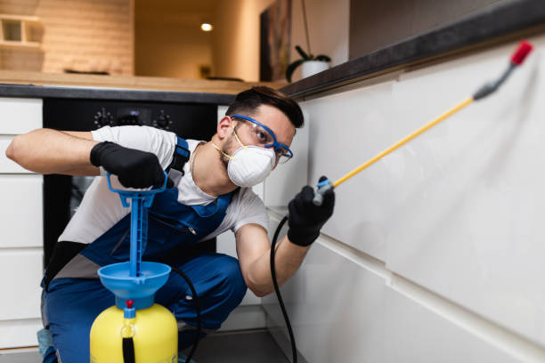 Best Termite Control Services  in Sewaren, NJ