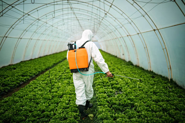 Best Affordable Pest Control Services  in Sewaren, NJ