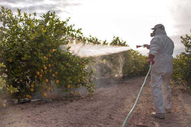 Best Emergency Pest Control  in Sewaren, NJ