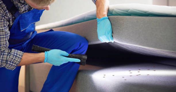 Pest Prevention Services in Sewaren, NJ