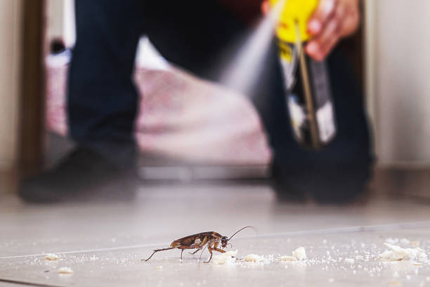 Best Pest Removal Services  in Sewaren, NJ