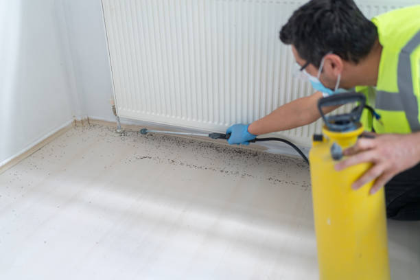 Best Best Pest Control Companies  in Sewaren, NJ